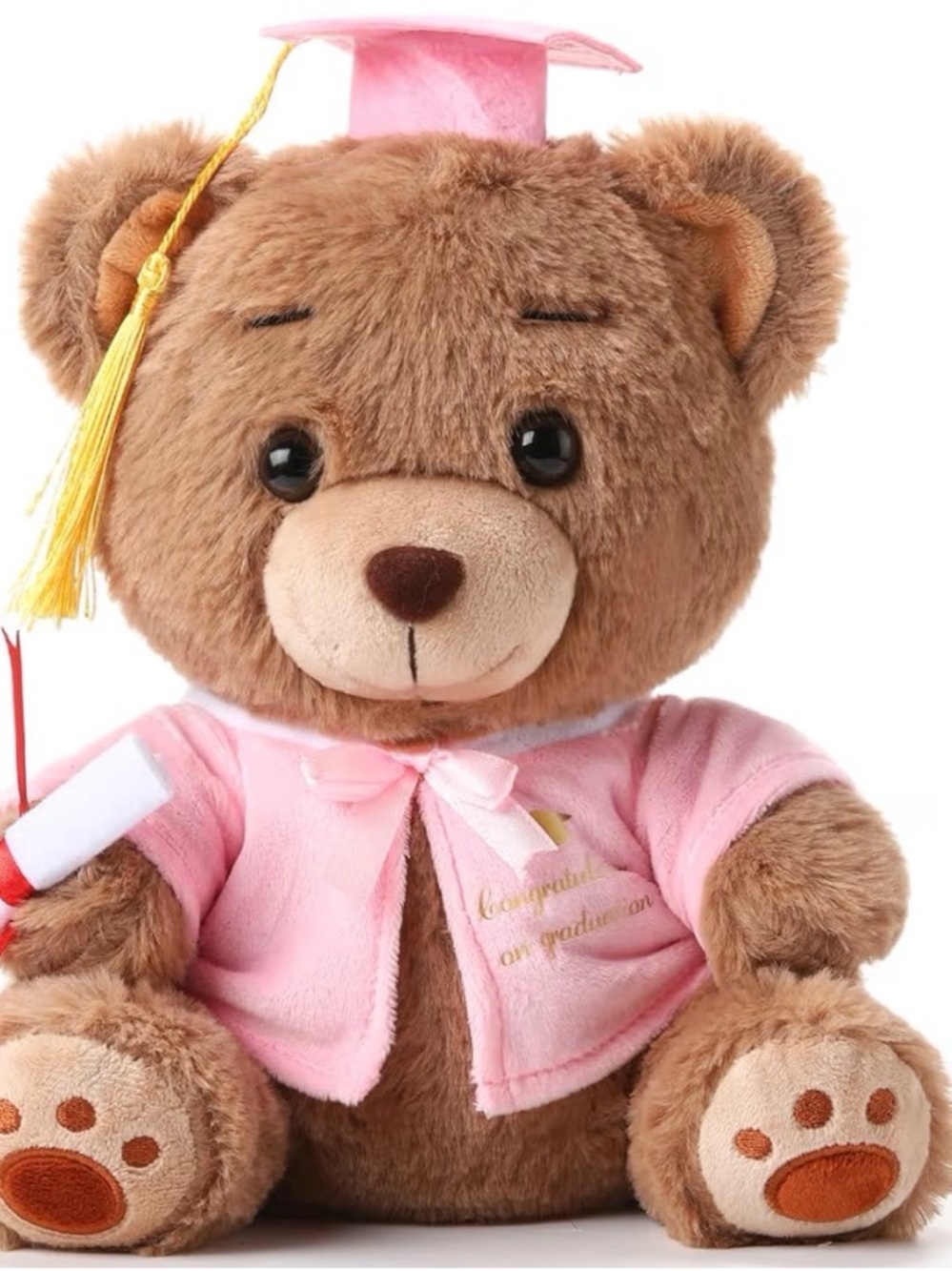 Graduation Bear Plush Toy - Pink Gown and Cap10”